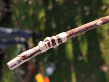 Szkolenie sadownicze w Osjakowie, 